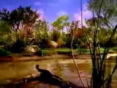 Bubble Yum Floyd D. Duck